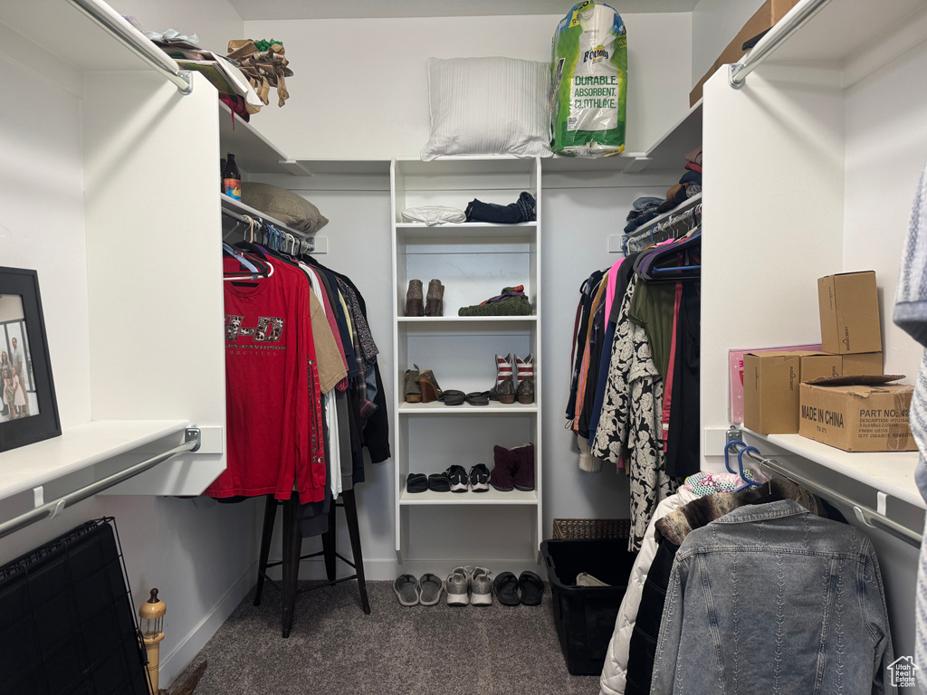Walk in closet featuring carpet flooring