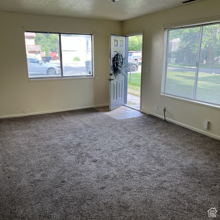 Carpeted foyer with baseboards