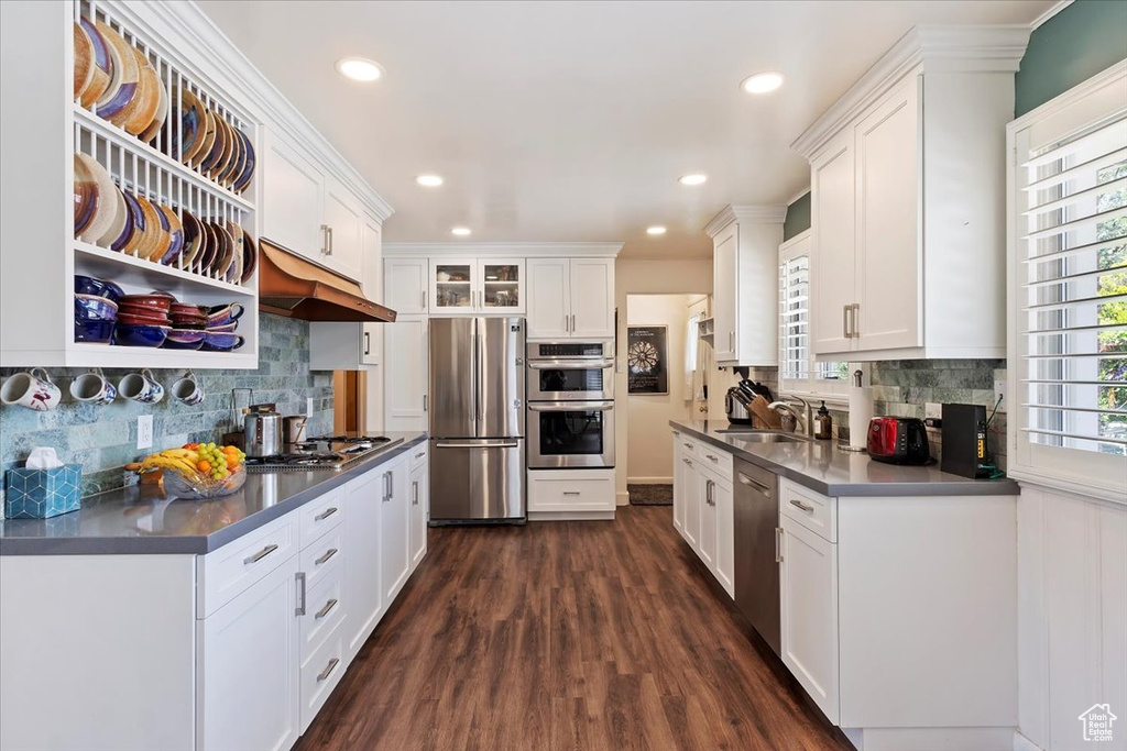 Kitchen featuring appliances with stainless steel finishes, under cabinet range hood, dark countertops, dark wood-type flooring, and white cabinetry