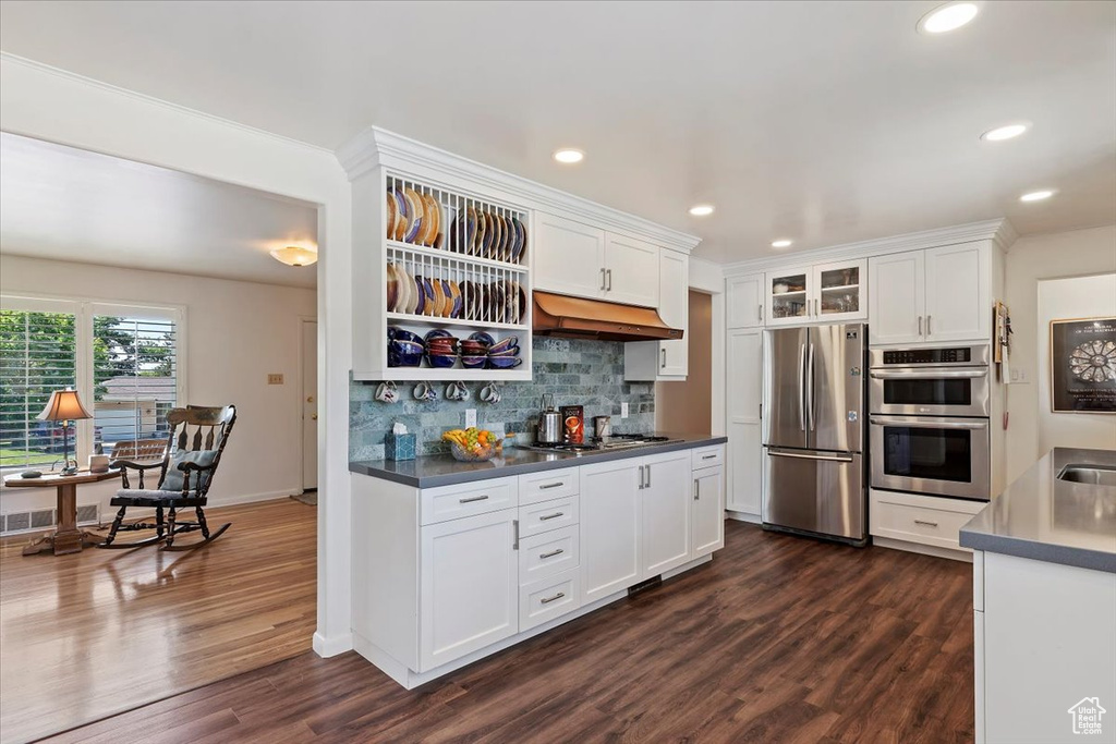 Kitchen with appliances with stainless steel finishes, white cabinetry, tasteful backsplash, under cabinet range hood, and recessed lighting