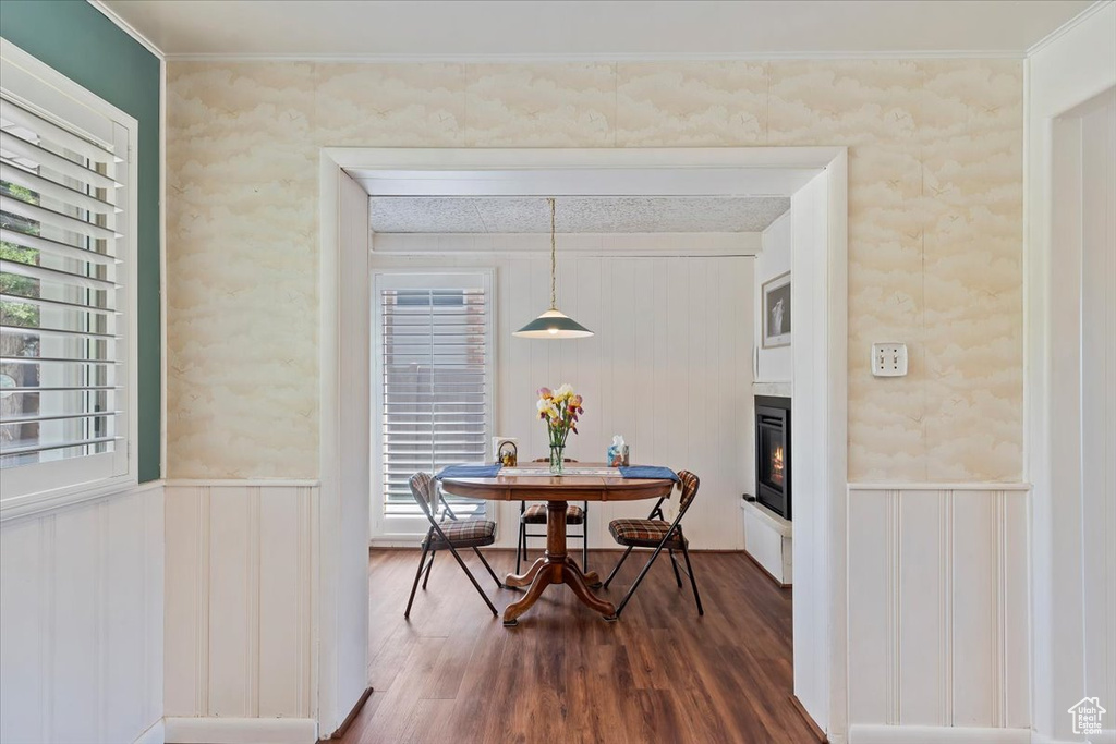 Dining room with dark wood finished floors, healthy amount of natural light, a glass covered fireplace, a wainscoted wall, and ornamental molding
