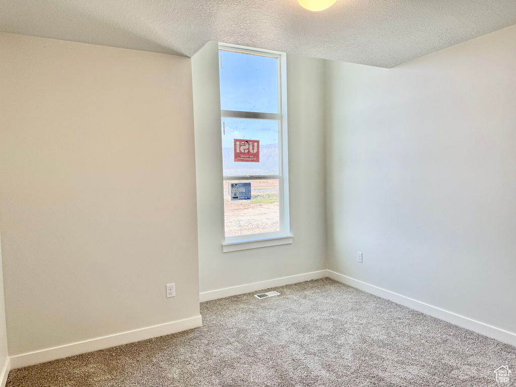 Empty room featuring a textured ceiling, carpet, healthy amount of natural light, and baseboards