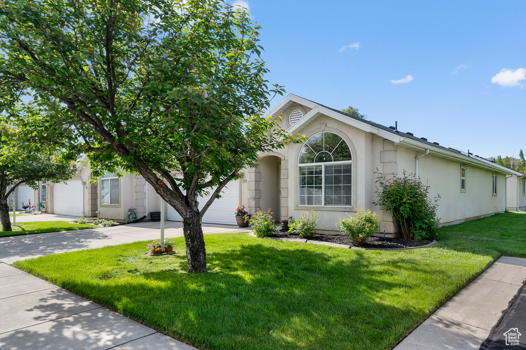 Ranch-style home with an attached garage, driveway, stucco siding, and a front lawn