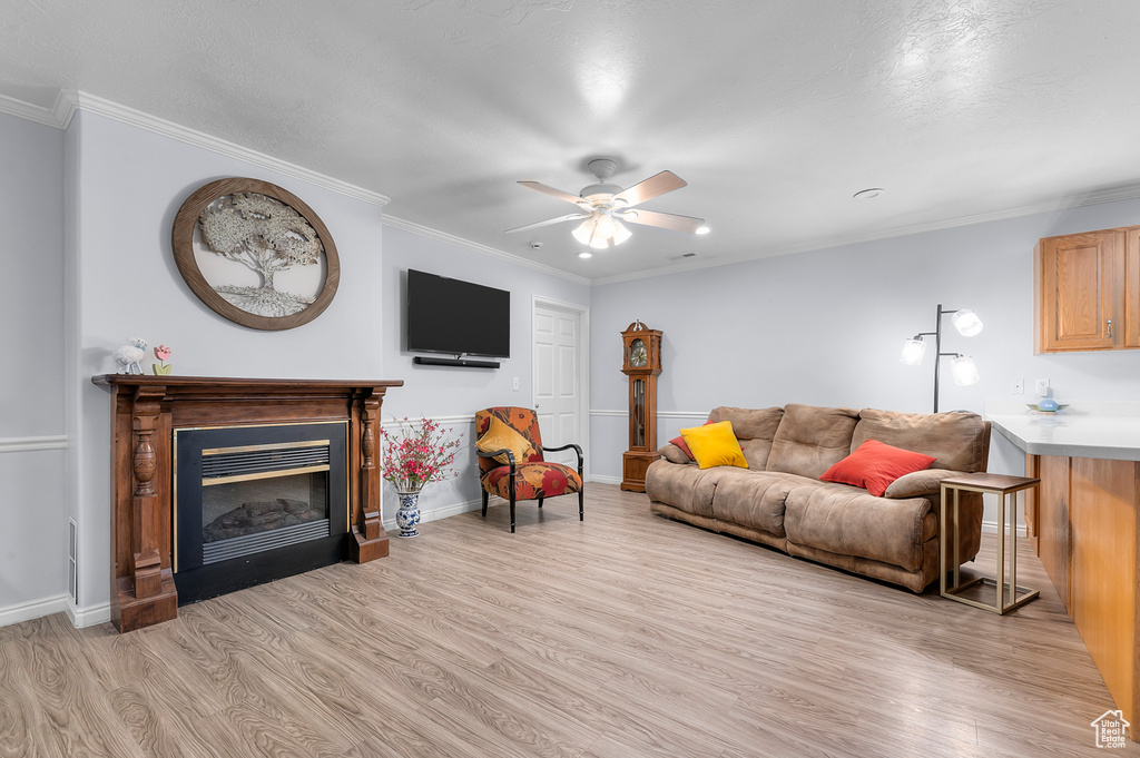 Living area featuring light wood finished floors, a ceiling fan, a glass covered fireplace, ornamental molding, and baseboards