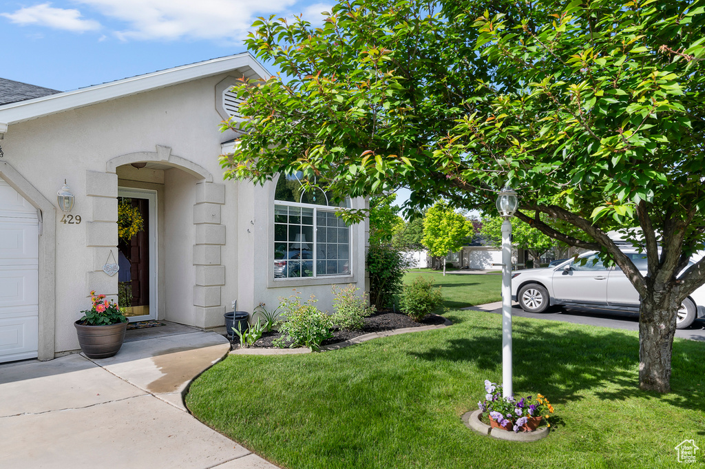 View of exterior entry with a lawn and stucco siding