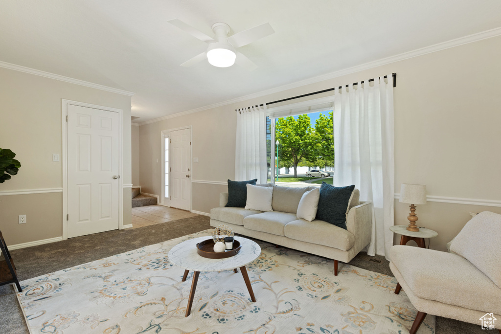 Living area with crown molding, stairway, baseboards, a ceiling fan, and carpet