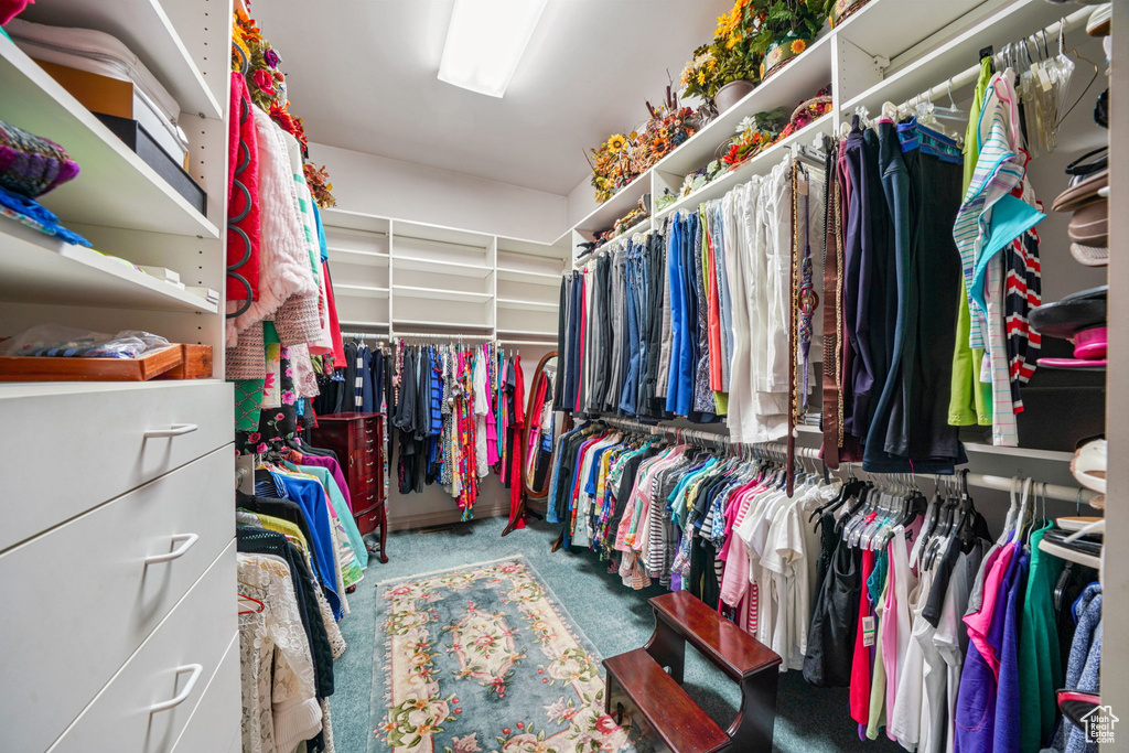 6331 S SHENANDOAH AVE Salt Lake City, UT 84121