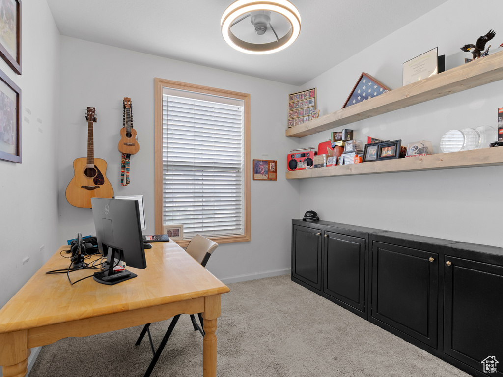 Office area with light carpet and baseboards
