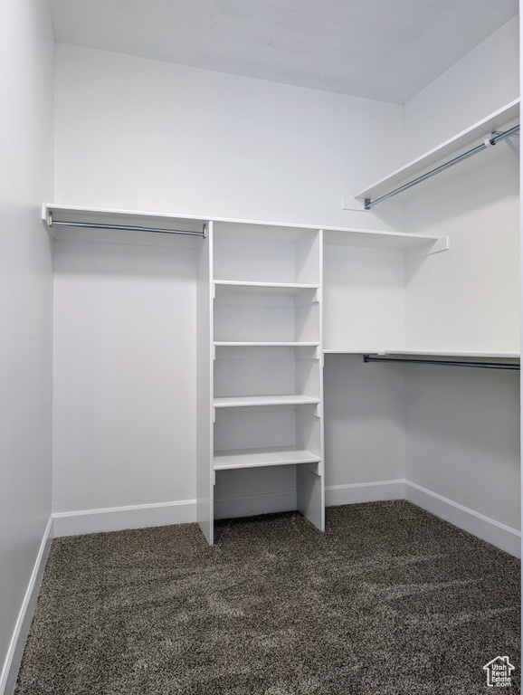 Spacious closet featuring dark colored carpet