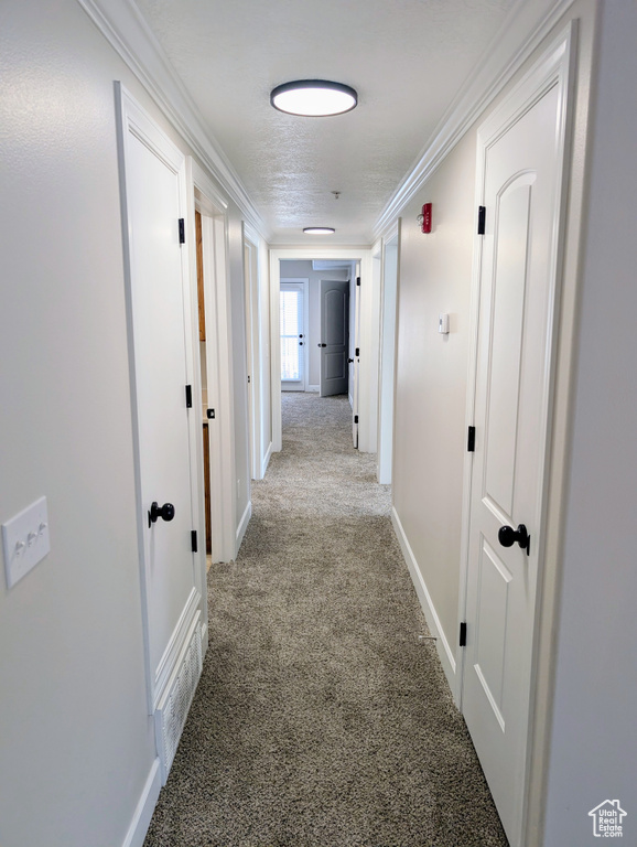 Hallway featuring carpet flooring, ornamental molding, and baseboards