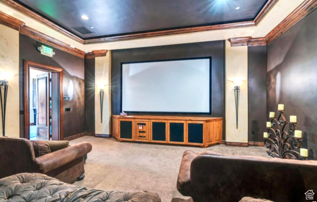 Home theater room featuring crown molding, carpet, a tray ceiling, and baseboards