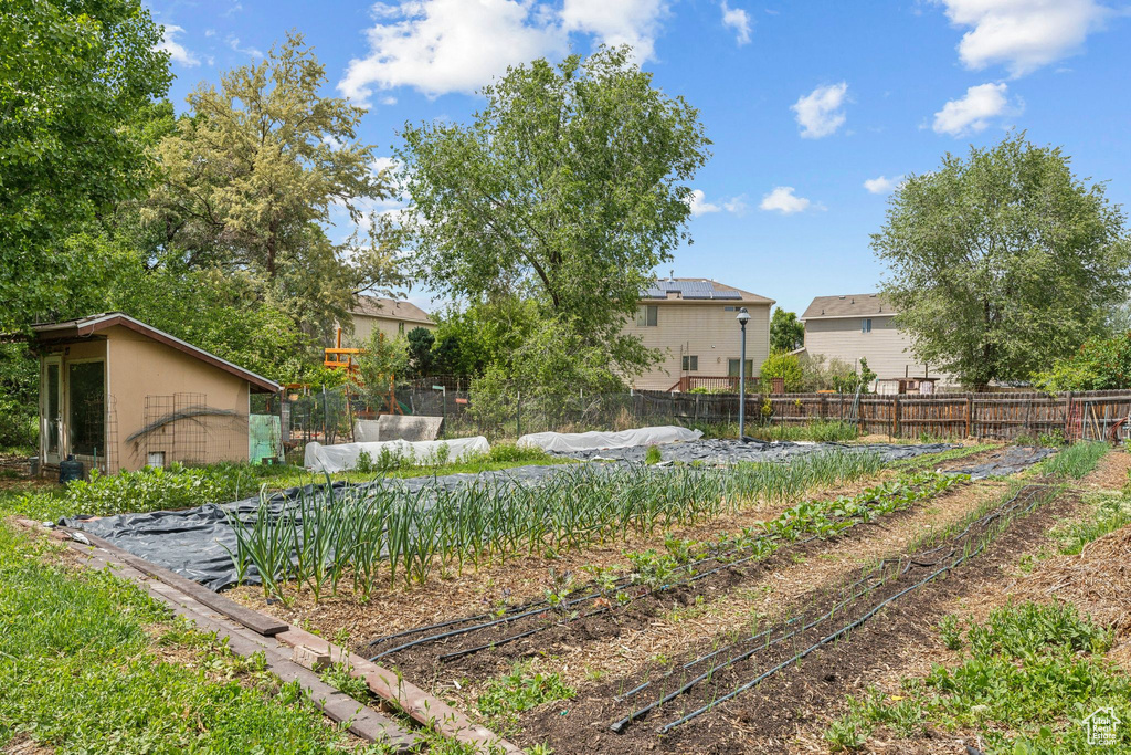 View of yard featuring a residential view