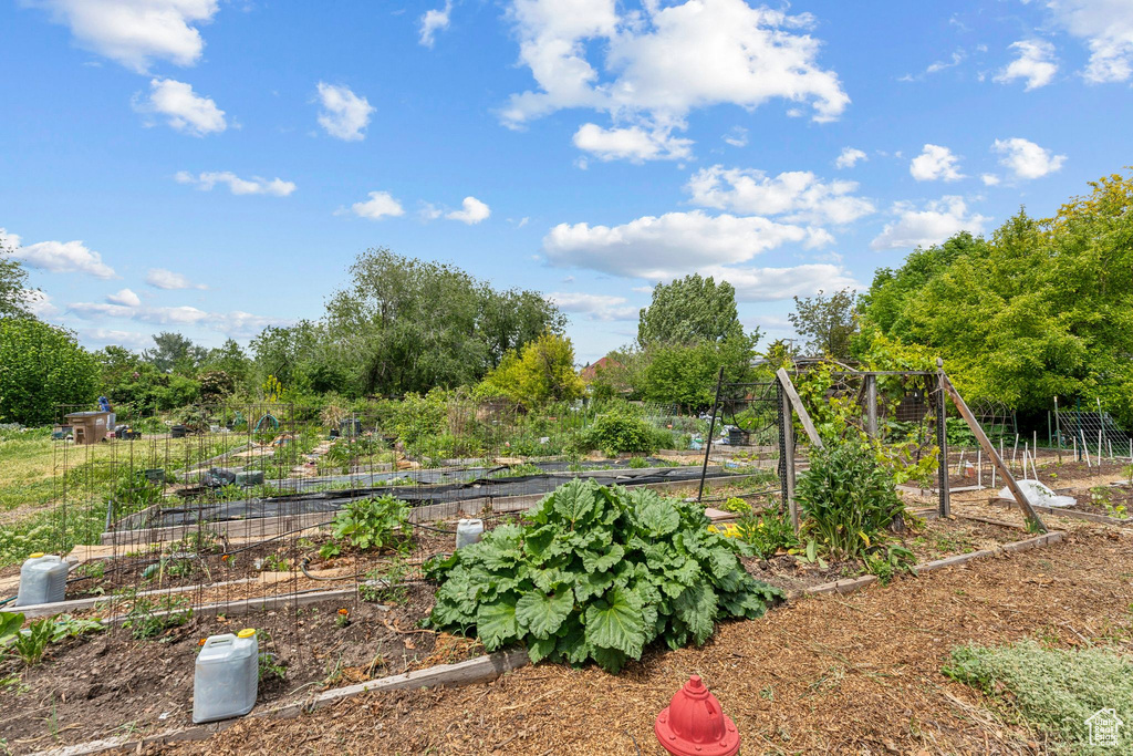 View of yard with a vegetable garden and view of scattered trees