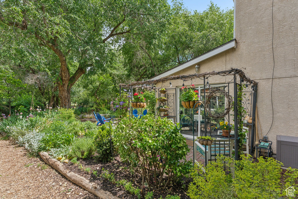 View of yard with central air condition unit