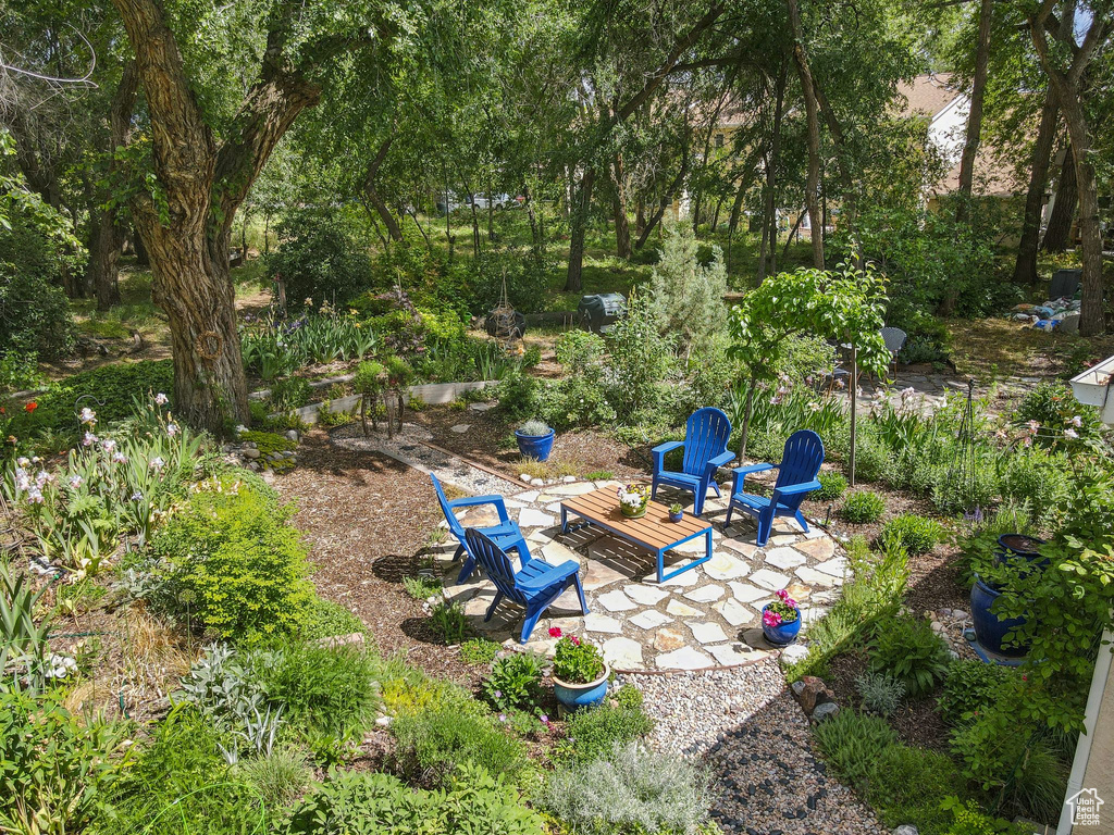 View of yard featuring a patio