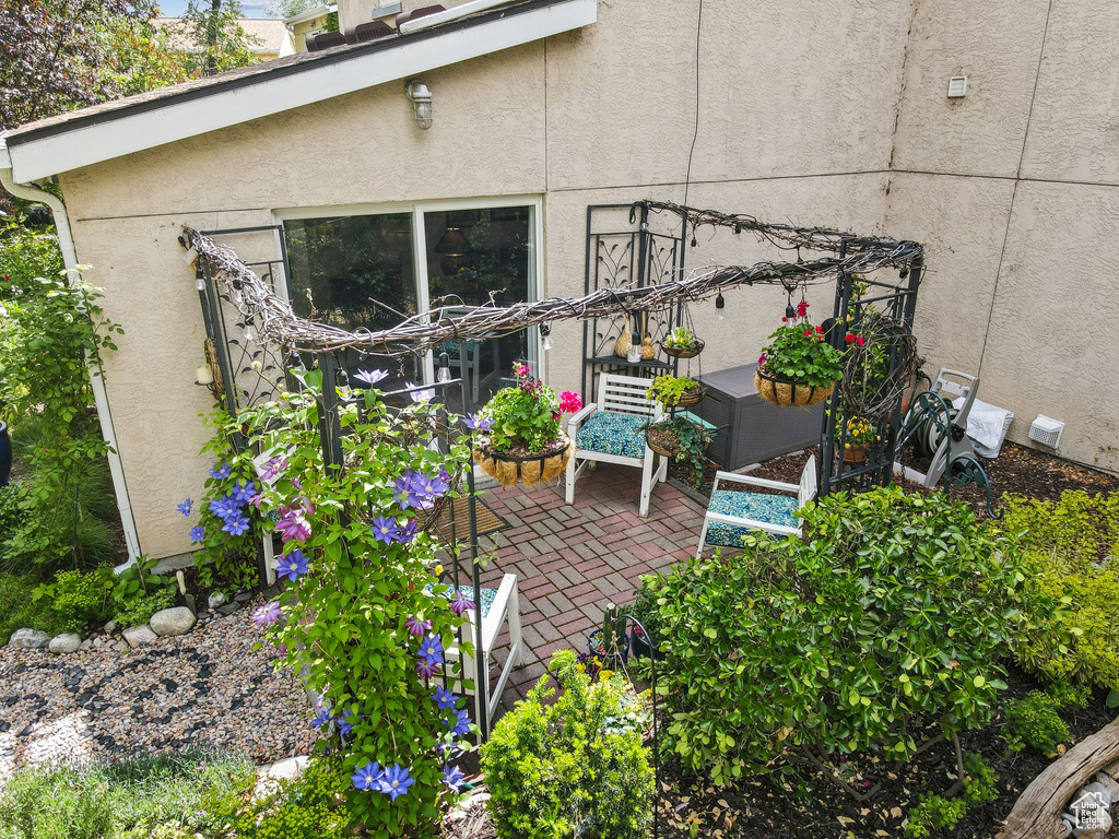 View of patio
