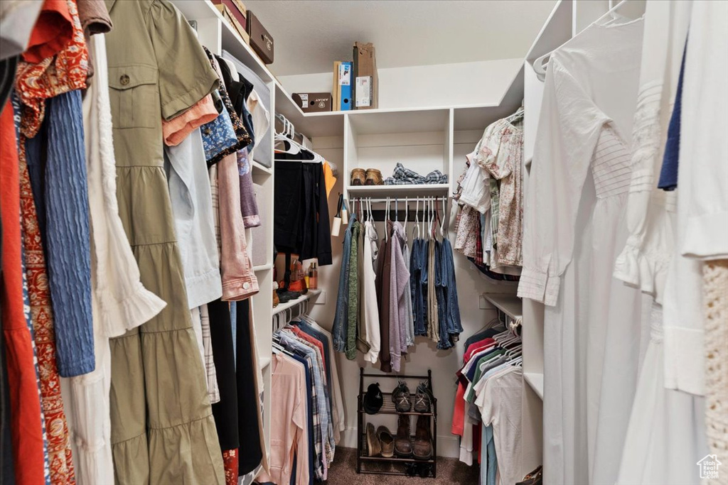 Spacious closet with carpet flooring