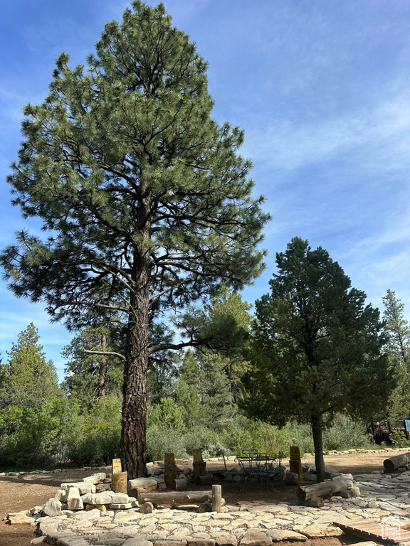 View of undeveloped land