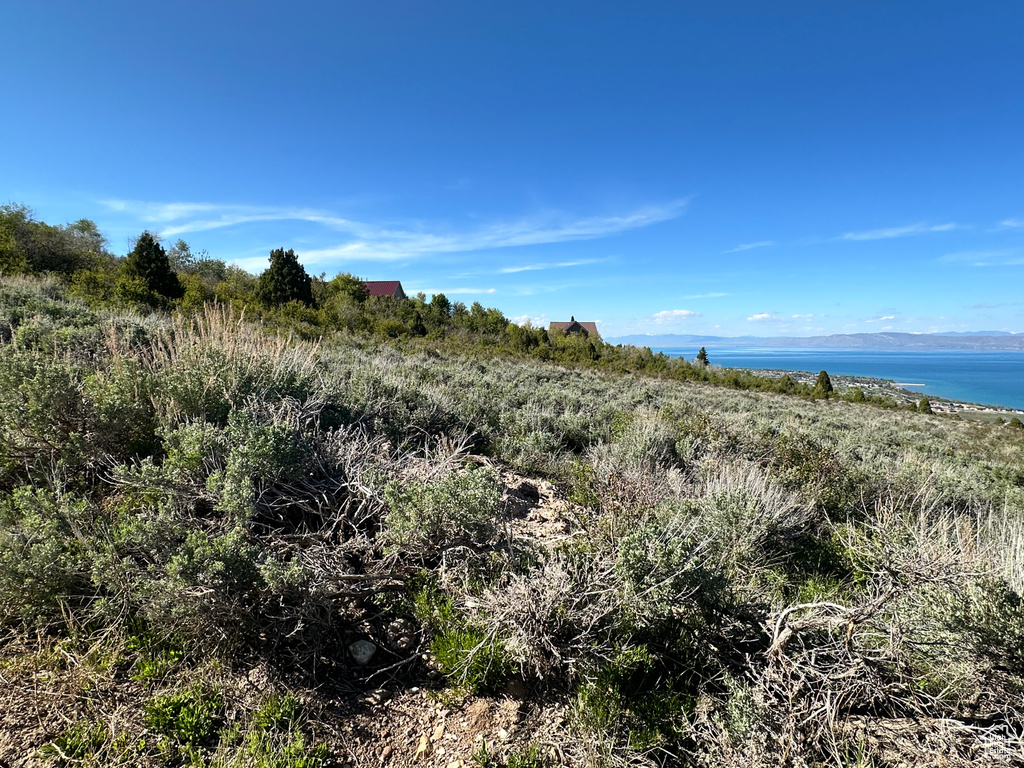 View of undeveloped land featuring a nearby body of water