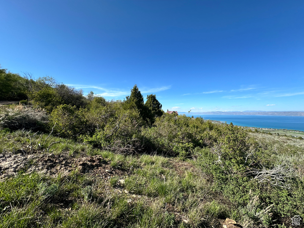 View of undeveloped land with a large body of water