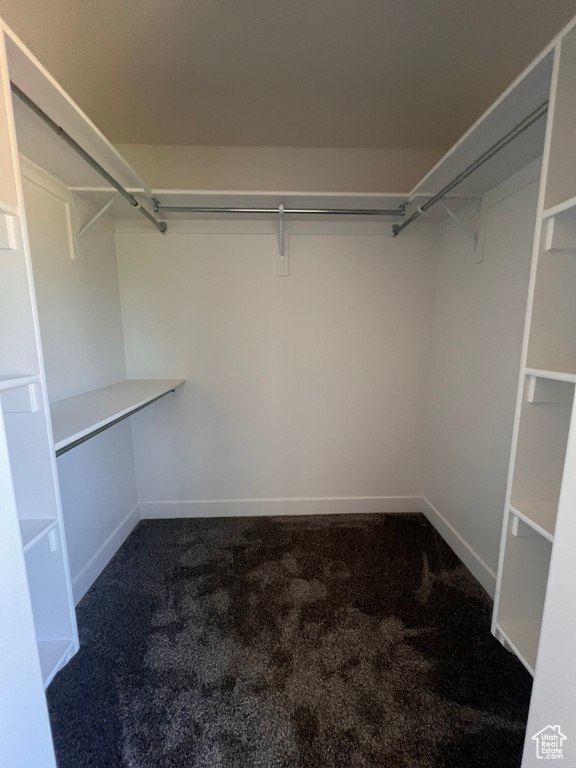 Spacious closet featuring carpet floors