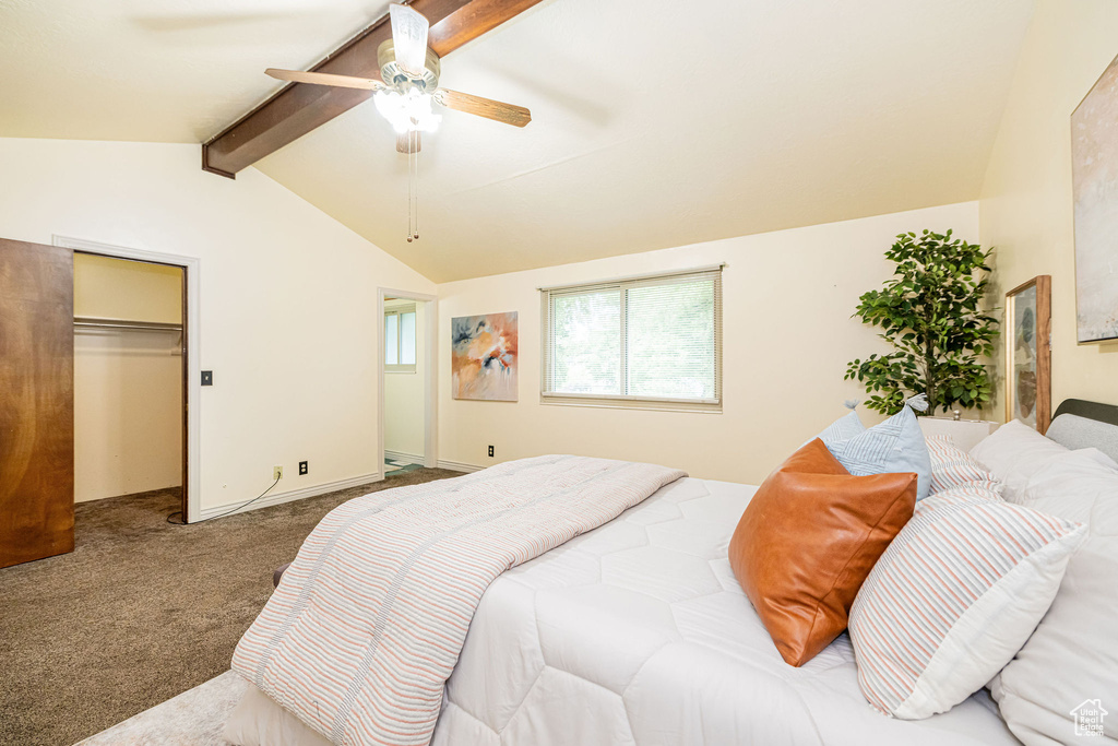 Bedroom with carpet floors, ceiling fan, and a closet