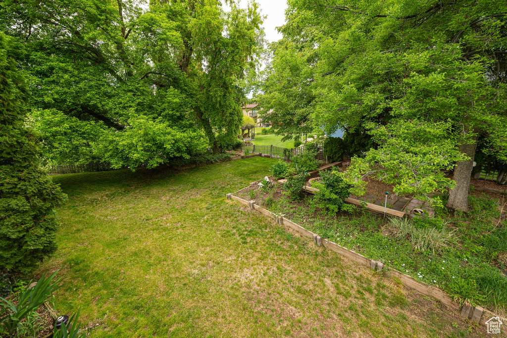 View of yard with a vegetable garden