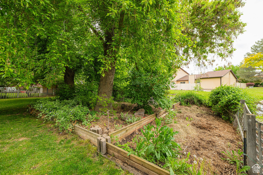 View of yard featuring a vegetable garden