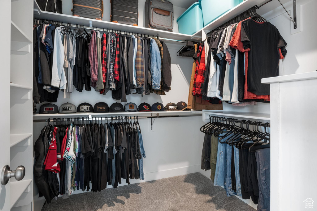 Spacious closet featuring carpet floors