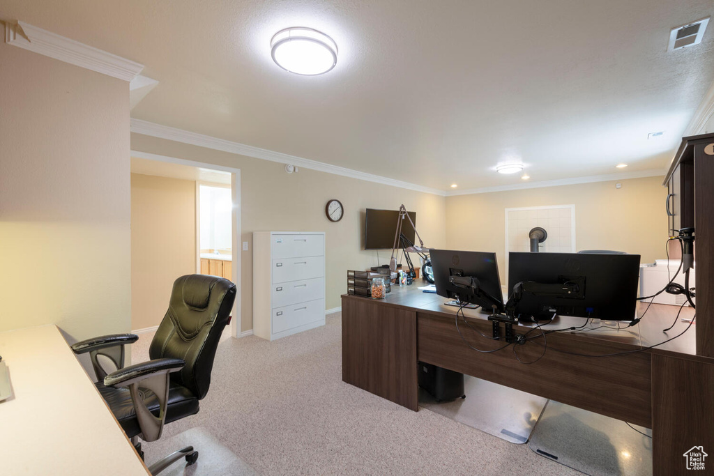 Office featuring light colored carpet, crown molding, and baseboards