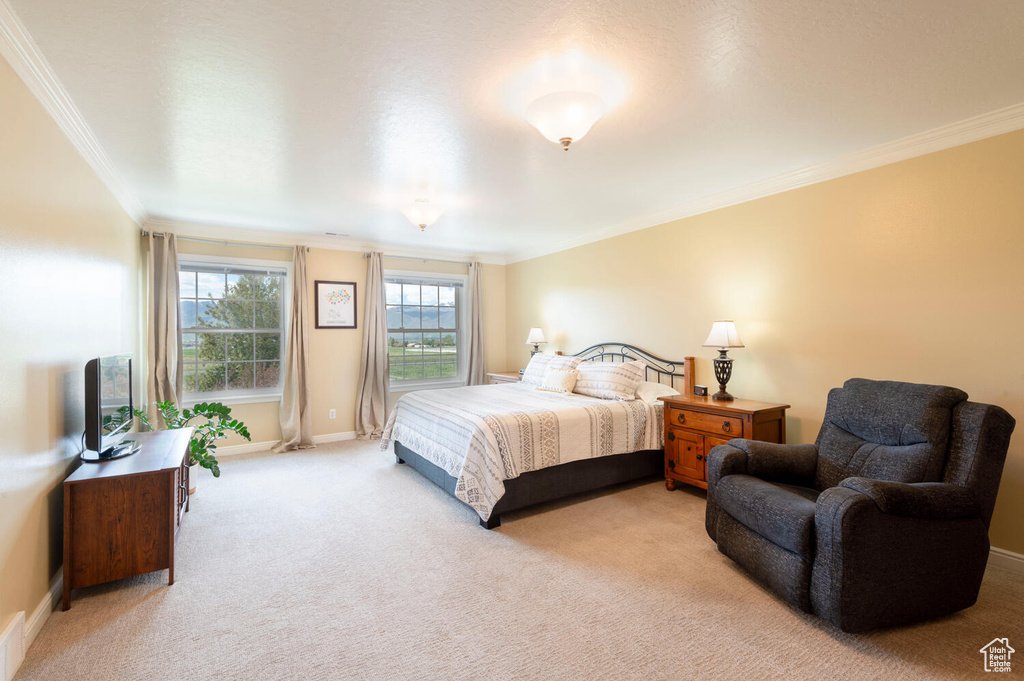 Bedroom featuring crown molding, baseboards, and light colored carpet