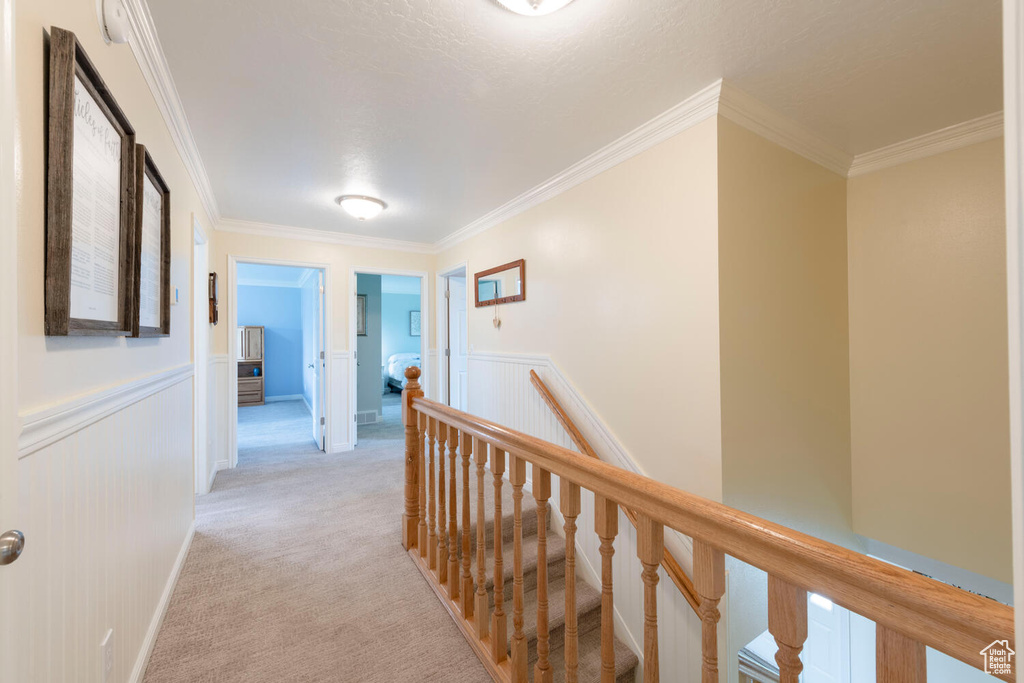 Hall with an upstairs landing, light carpet, wainscoting, and ornamental molding