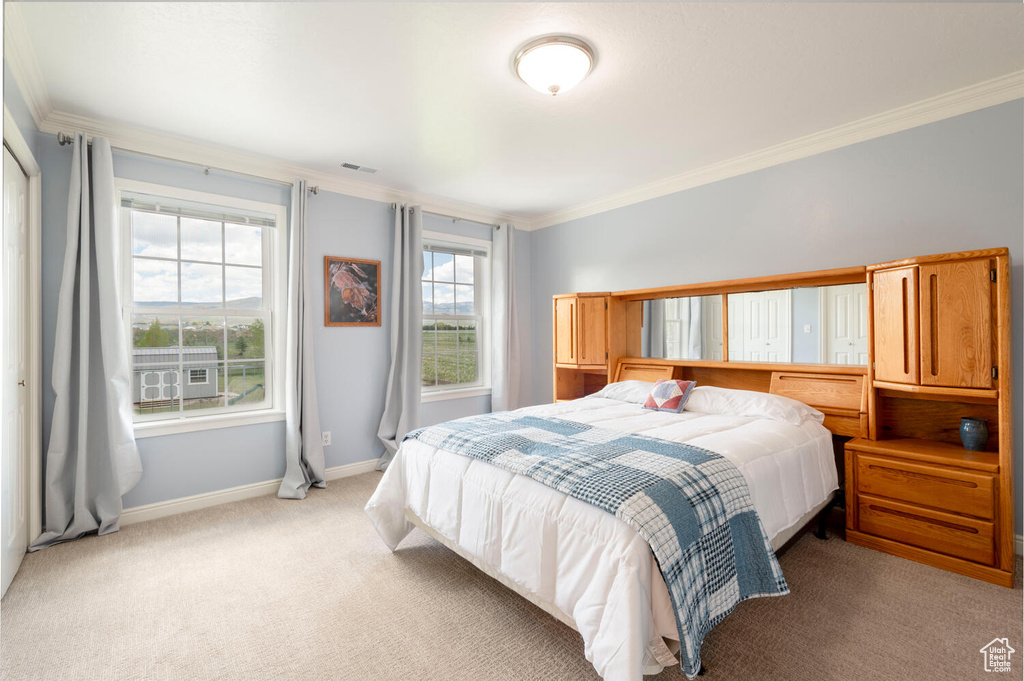 Bedroom featuring ornamental molding, light carpet, and baseboards