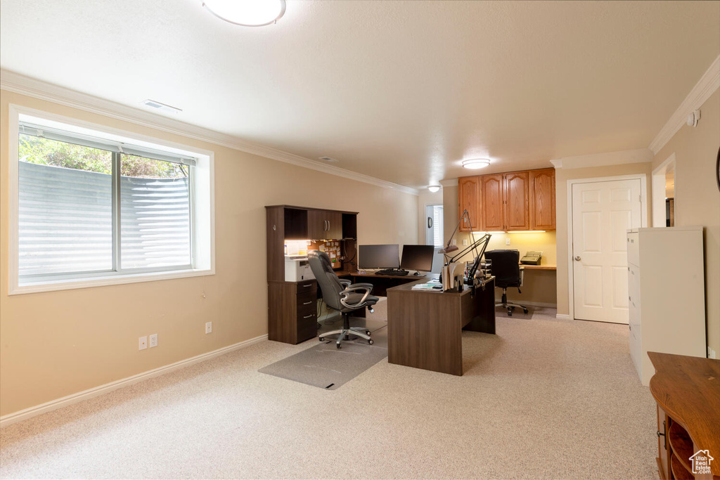 Office area with crown molding, light colored carpet, and baseboards