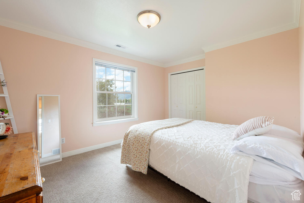 Carpeted bedroom featuring ornamental molding, baseboards, and a closet