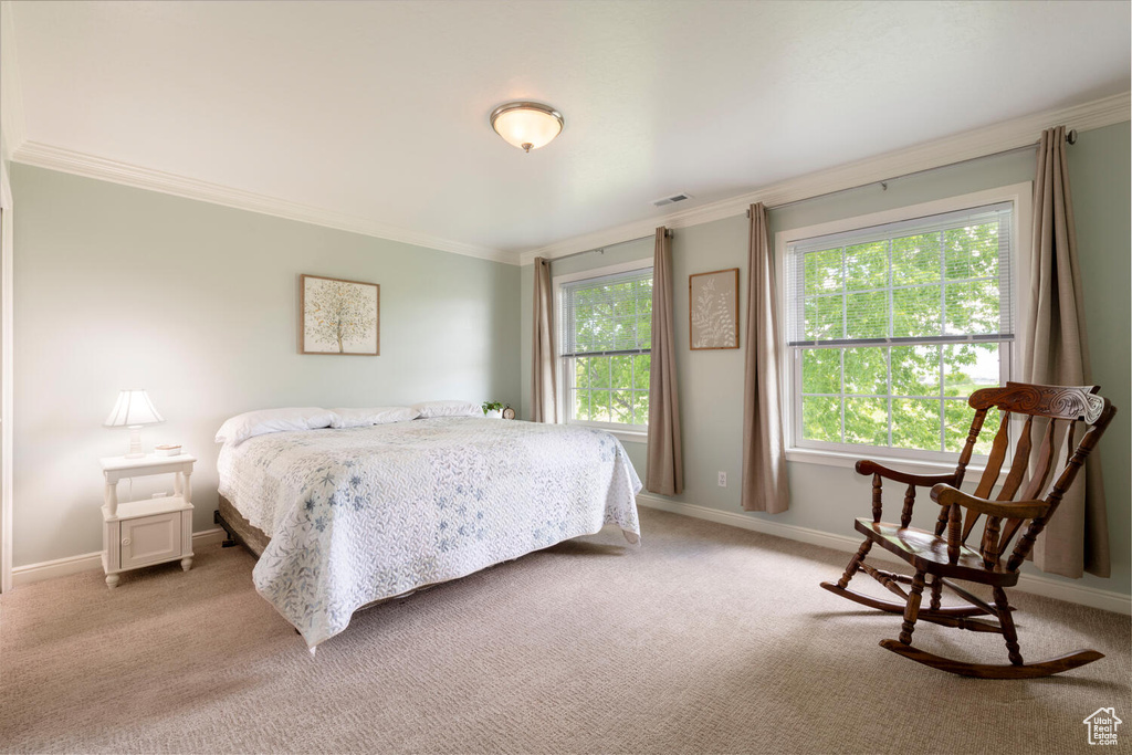 Bedroom with crown molding, light carpet, and baseboards