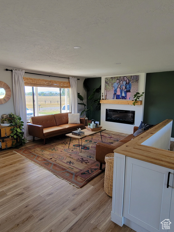 Living room with a glass covered fireplace, light wood-type flooring, and a textured ceiling