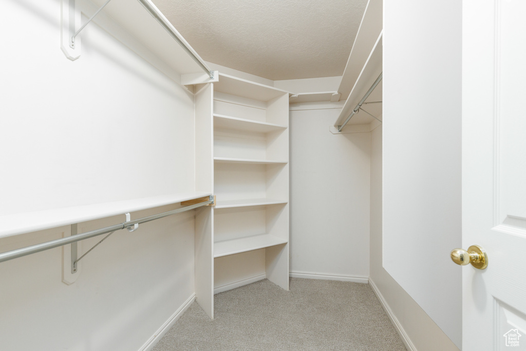 Spacious closet with light carpet