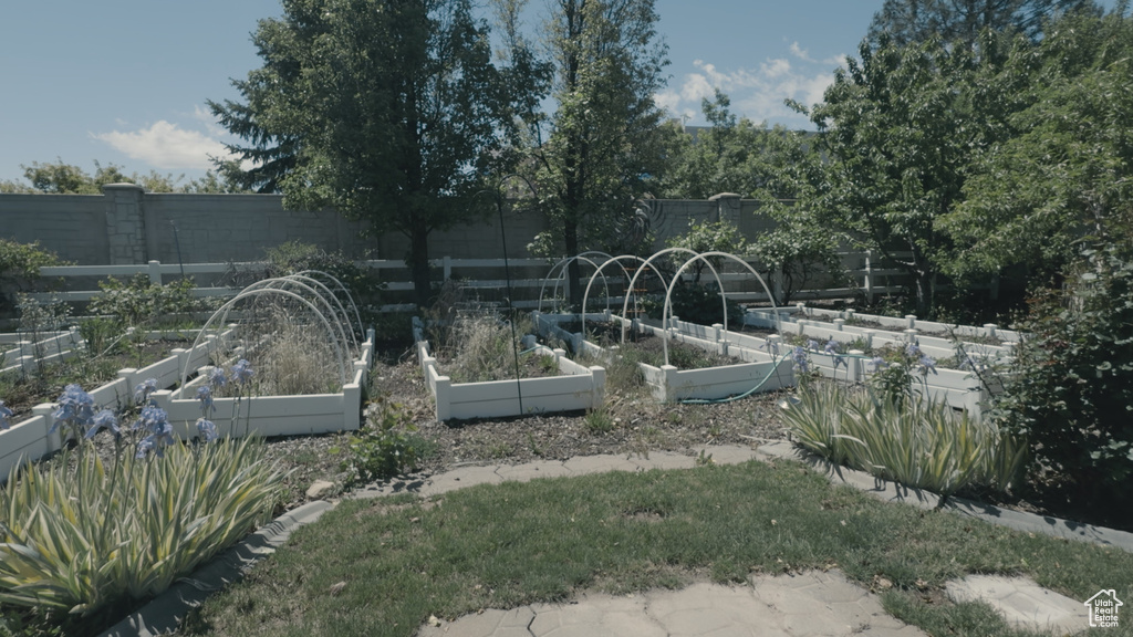 View of yard featuring a vegetable garden