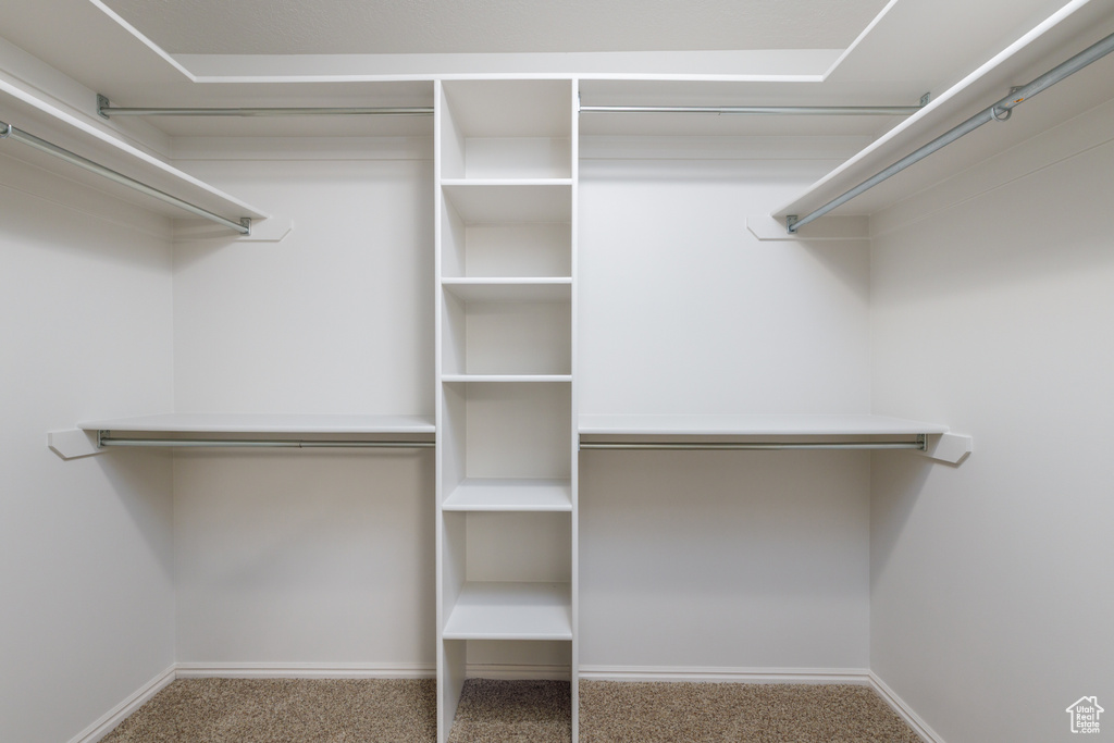 Walk in closet featuring carpet floors