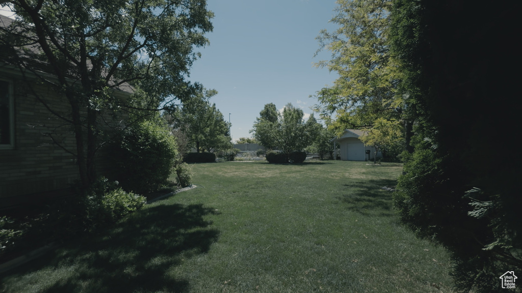 View of grassy yard