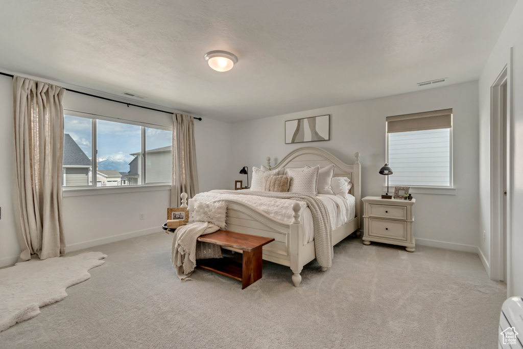 Bedroom with baseboards, light carpet, and a baseboard radiator