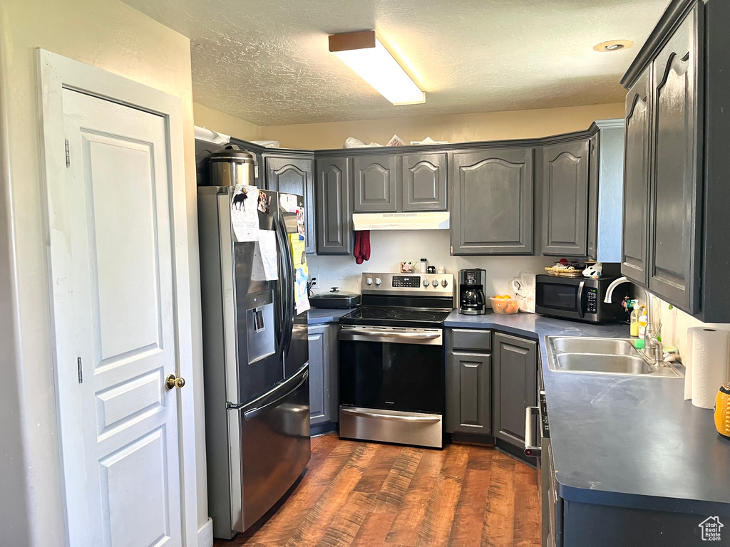 Kitchen with appliances with stainless steel finishes, under cabinet range hood, gray cabinets, dark countertops, and dark wood-style flooring