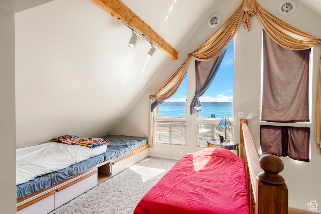 Bedroom featuring carpet, a water view, and rail lighting