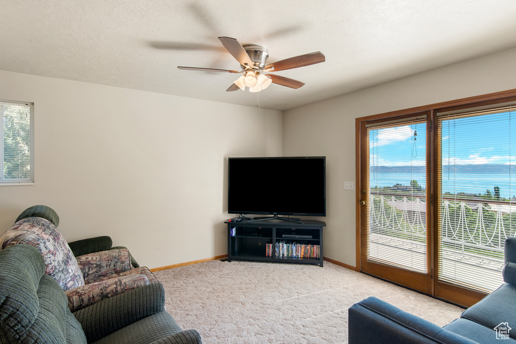 Carpeted living room with a ceiling fan, healthy amount of natural light, and baseboards