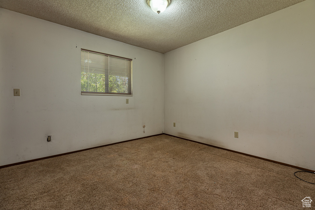 Unfurnished room with light colored carpet, a textured ceiling, and baseboards