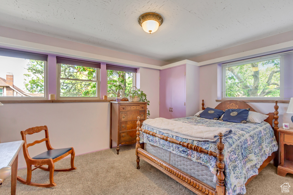 Carpeted bedroom featuring multiple windows