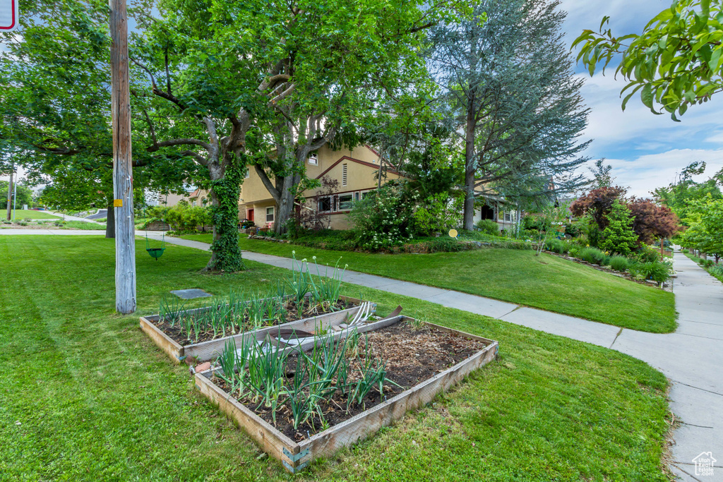 View of property hidden behind natural elements with a front yard and a garden