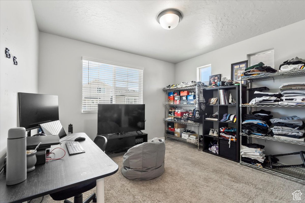 Office with carpet floors and a textured ceiling