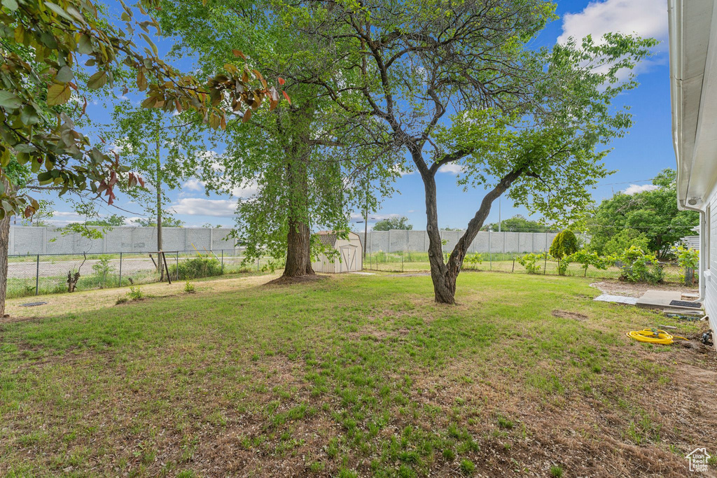 View of yard